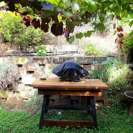 Bushy Park Retreat Apartment Penguin Ngoại thất bức ảnh